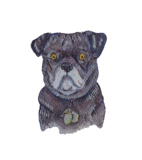 Illustration of Ottis the dog by Deborah Grieder